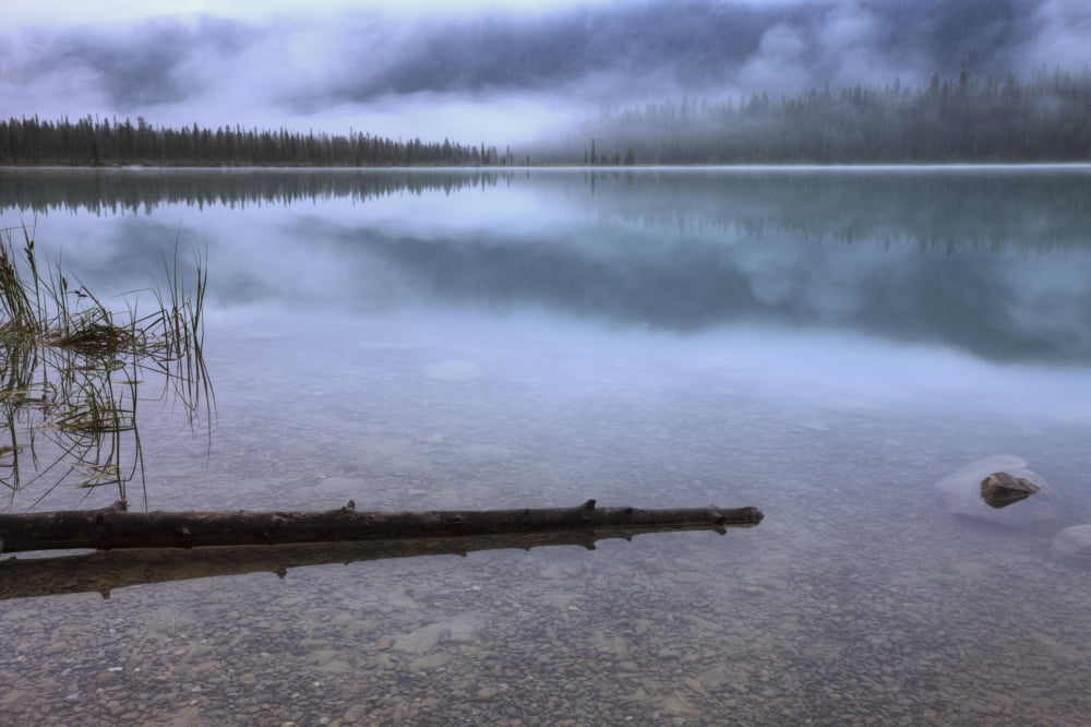 Foggy Morning With Clouds Over Emerald Lake Yoho National Park British Columbia Canvas Art - Dan Jurak  Design Pics (17 x 11)