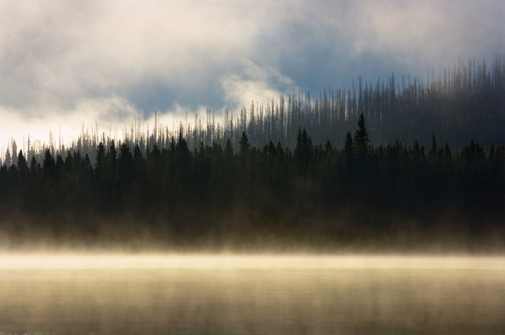 Foggy Mountain Lake At Sunrise Canvas Art - Corey Hochachka Design Pics (17 x 11)