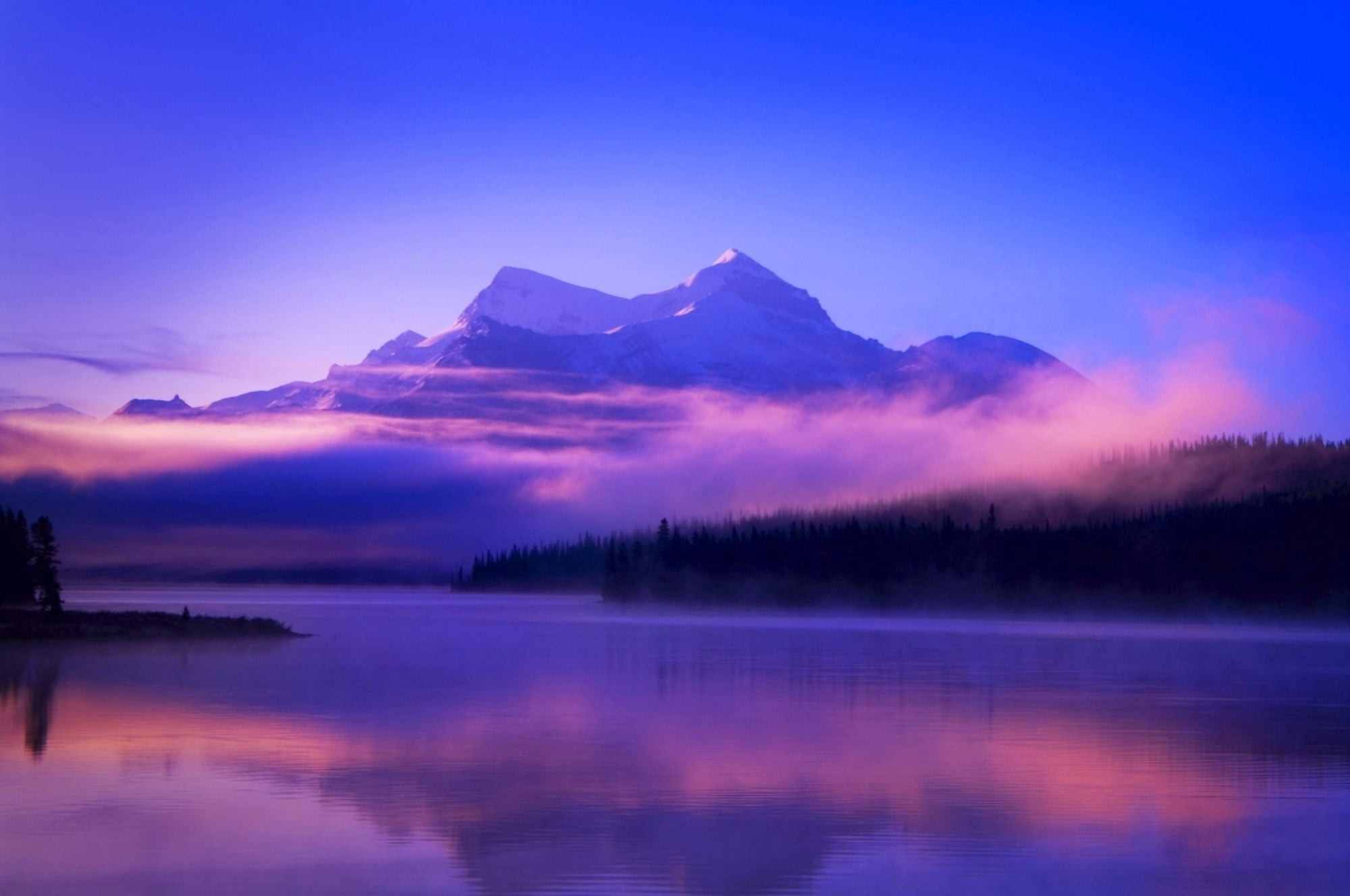 Foggy Mountain Sunrise Canvas Art - Corey Hochachka Design Pics (17 x 11)