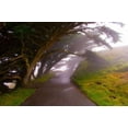 thumbnail image 1 of Foggy Path Poster Print by George Johnson (10 x 14), 1 of 1