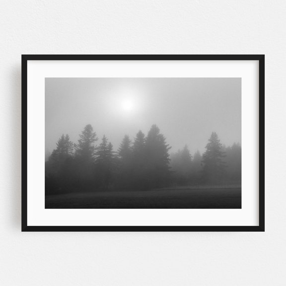 Foggy Pines, Cutler - Cutler Maine Photography Black Framed Wall Art Print 12 x 18 inches