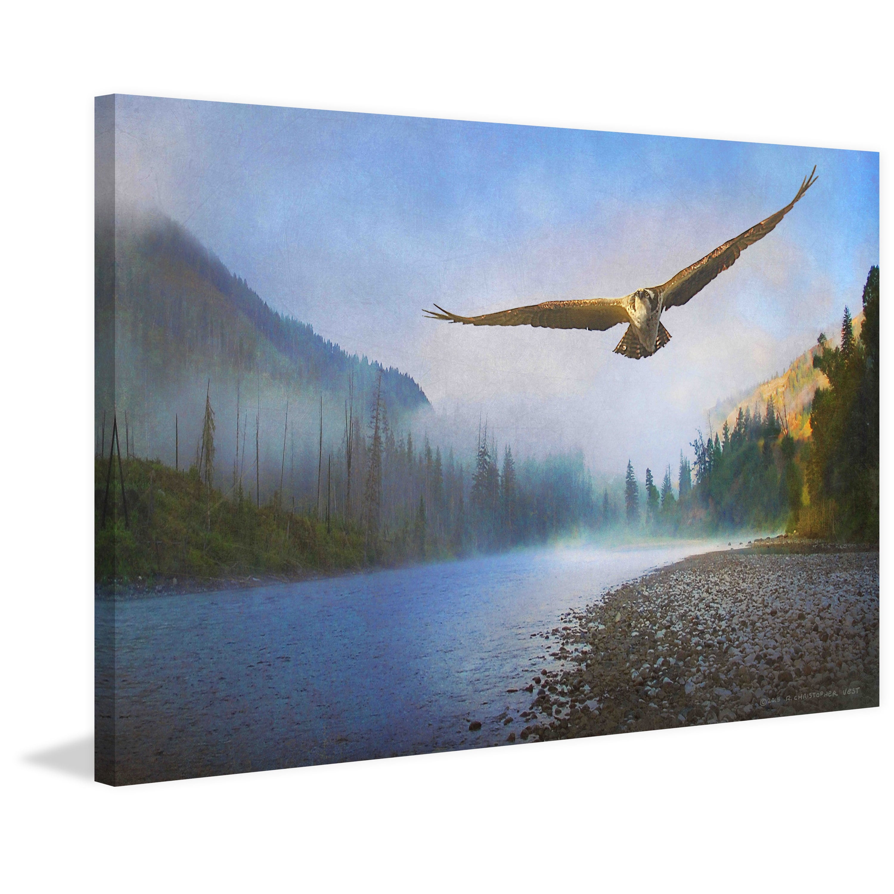 "Foggy River Osprey" Painting Print on Wrapped Canvas