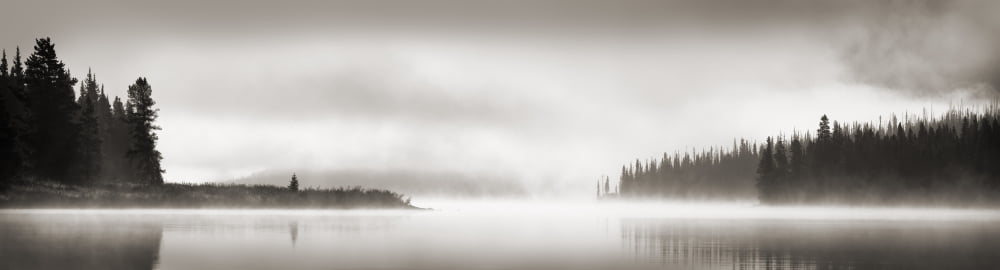 Foggy Scene Canvas Art - Corey Hochachka Design Pics (38 x 10)