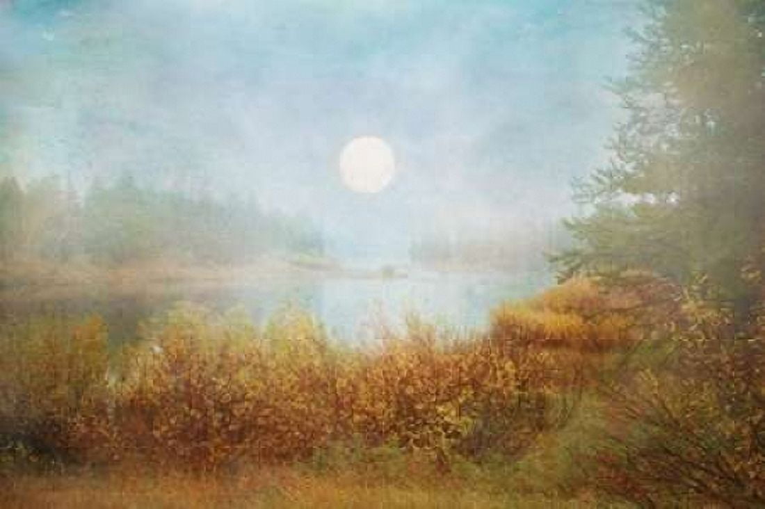 Foggy Sunrise Canvas Art - Ramona Murdock (24 x 36)