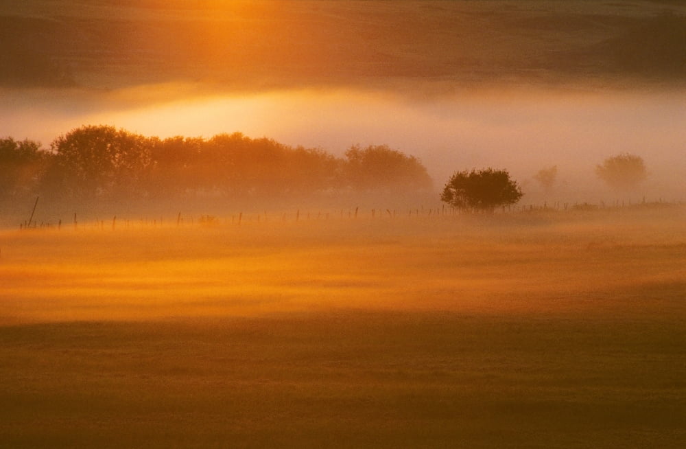 Foggy Sunset Canvas Art - Bilderbuch Design Pics (36 x 22)