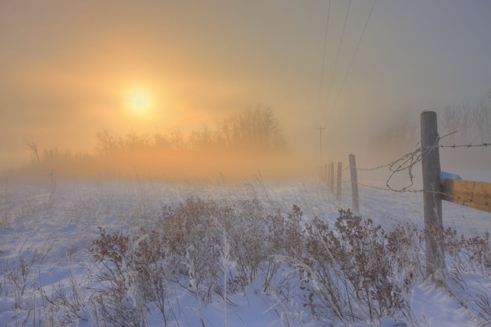 Foggy Winter Sunrise Over Barbed Wire Fence Alberta Prairie Canvas Art - Dan Jurak Design Pics (17 x 11)