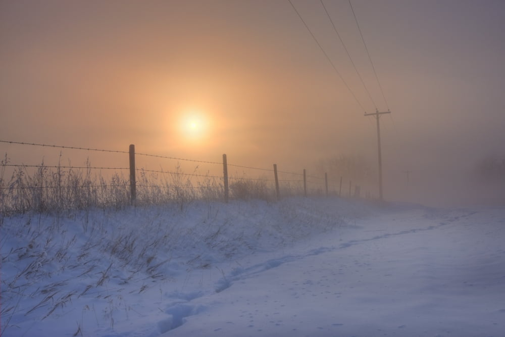 Foggy Winter Sunrise Over Barbed Wire Fence And Hydro Lines Alberta Prairie Canvas Art - Dan Jurak Design Pics (17 x 11)