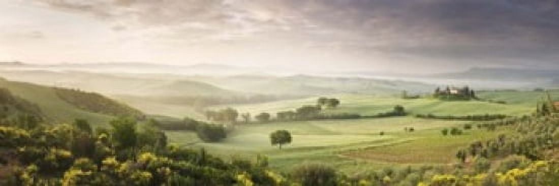 Foggy field Villa Belvedere San Quirico dOrcia Val dOrcia Siena Province Tuscany Italy Canvas Art - Panoramic Images (18 x 6)