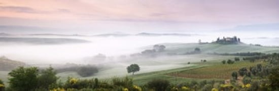Foggy field Villa Belvedere San Quirico dOrcia Val dOrcia Siena Province Tuscany Italy Canvas Art - Panoramic Images (36 x 12)