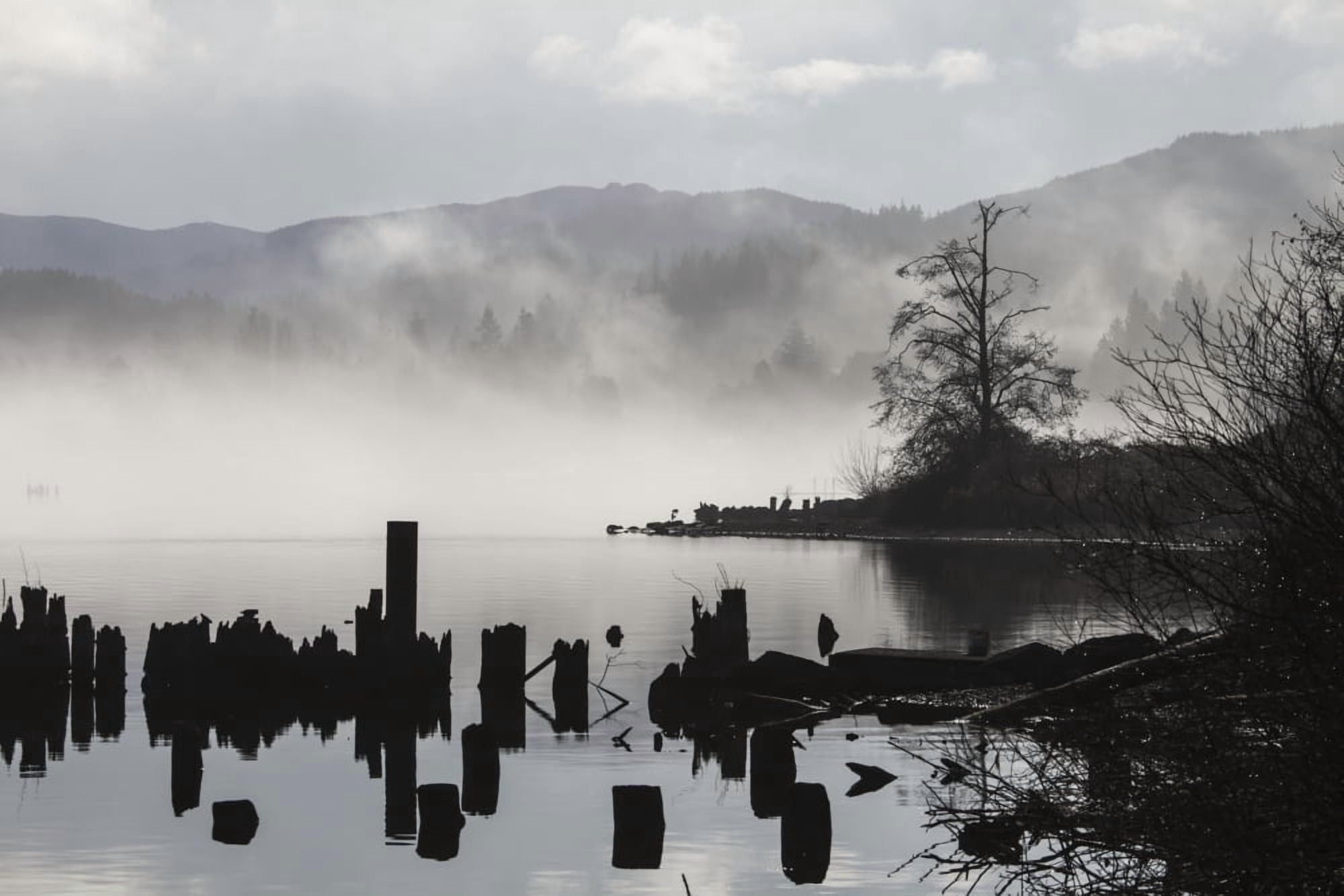Foggy mountain lake scene with silhouettes of trees pilings Bellingham Washington United States of America Canvas Art - Blake Kent Design Pics (38 x 24)