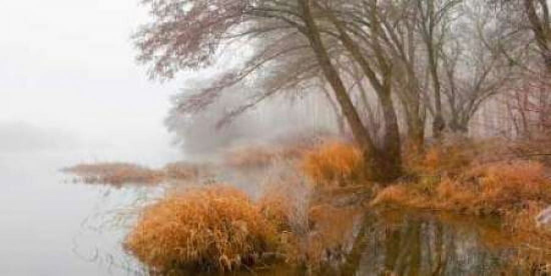 Foggy swamp 836 Canvas Art - JA Palacios (10 x 20)