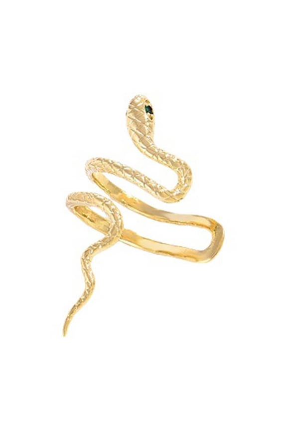 Fashion Piercing Ear Cuff Earring Unique Snake Earrings for Women Snake Shaped Earring Clip on Earrings Ear Cuff