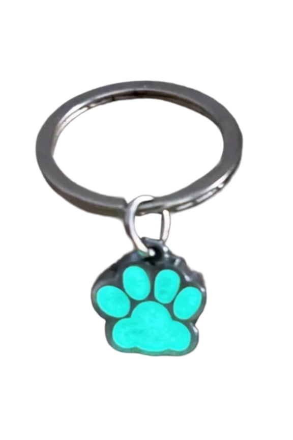 Glowing Claw Keychain Adorable Cartoon Animal Charm Key Holder Hanging Ornament for Bag Backpack or Car Decoration