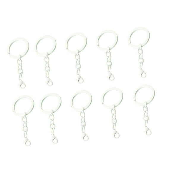 Fogun Set Of 10 Keychain Rings Assorted Colors Key Rings with Chains and Secure Clasps Fashionable Key Holders Accessories
