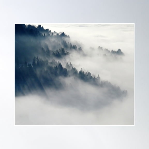 Fogy Forest Poster Wall Art, Modern Wall Decor, 16x24 UNFRAMED