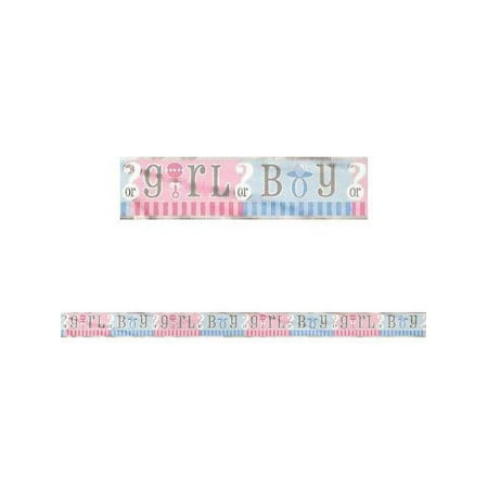 Foil Boy or Girl Gender Reveal Party Banner, 12ft, 1ct