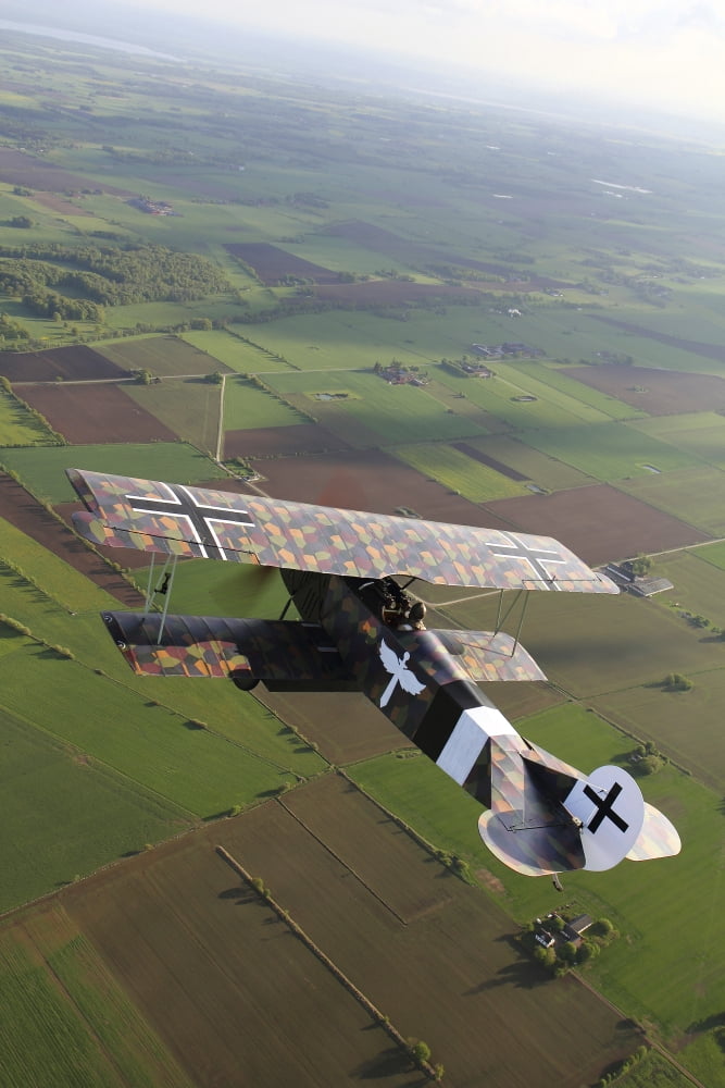 Fokker DVII World War I replica fighter in the air Canvas Art - Daniel KarlssonStocktrek Images (12 x 18)