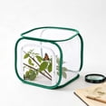 thumbnail image 1 of Foldable Butterfly House Breeding Cage, 12"x12"x12" Large Insect Habitat Terrarium Tent, Breathable Ventilated Polyester Mesh Netting Catcher _ A, 1 of 7