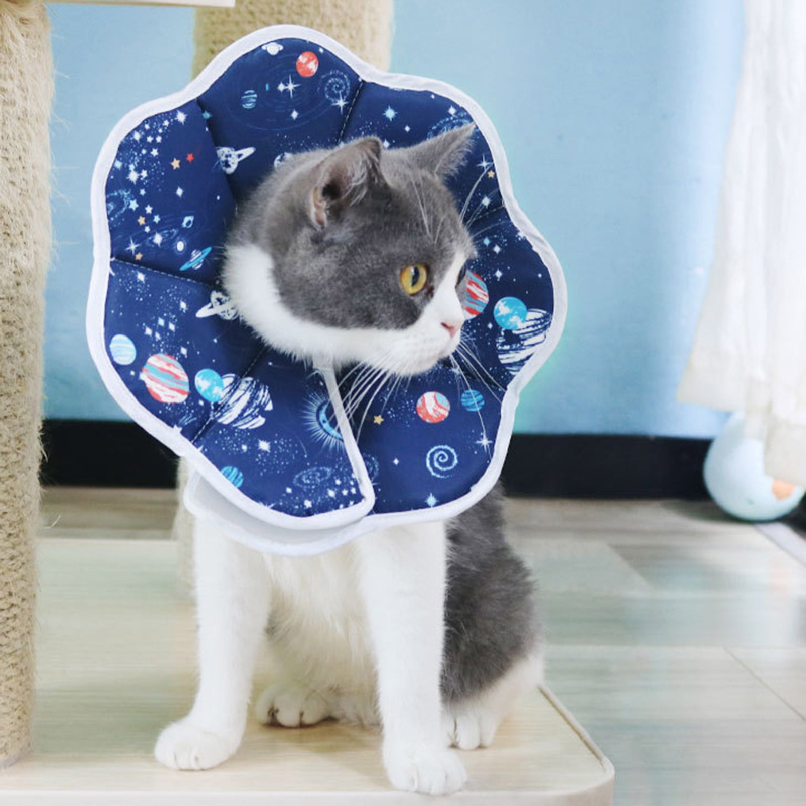 Foldable Cat Head Cover Soft Cat Recovery Protective Adjustable Pet For