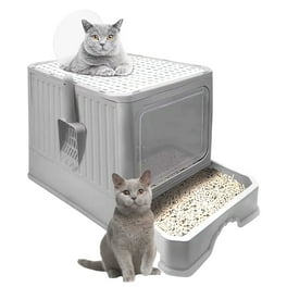Large cat litter box walmart online