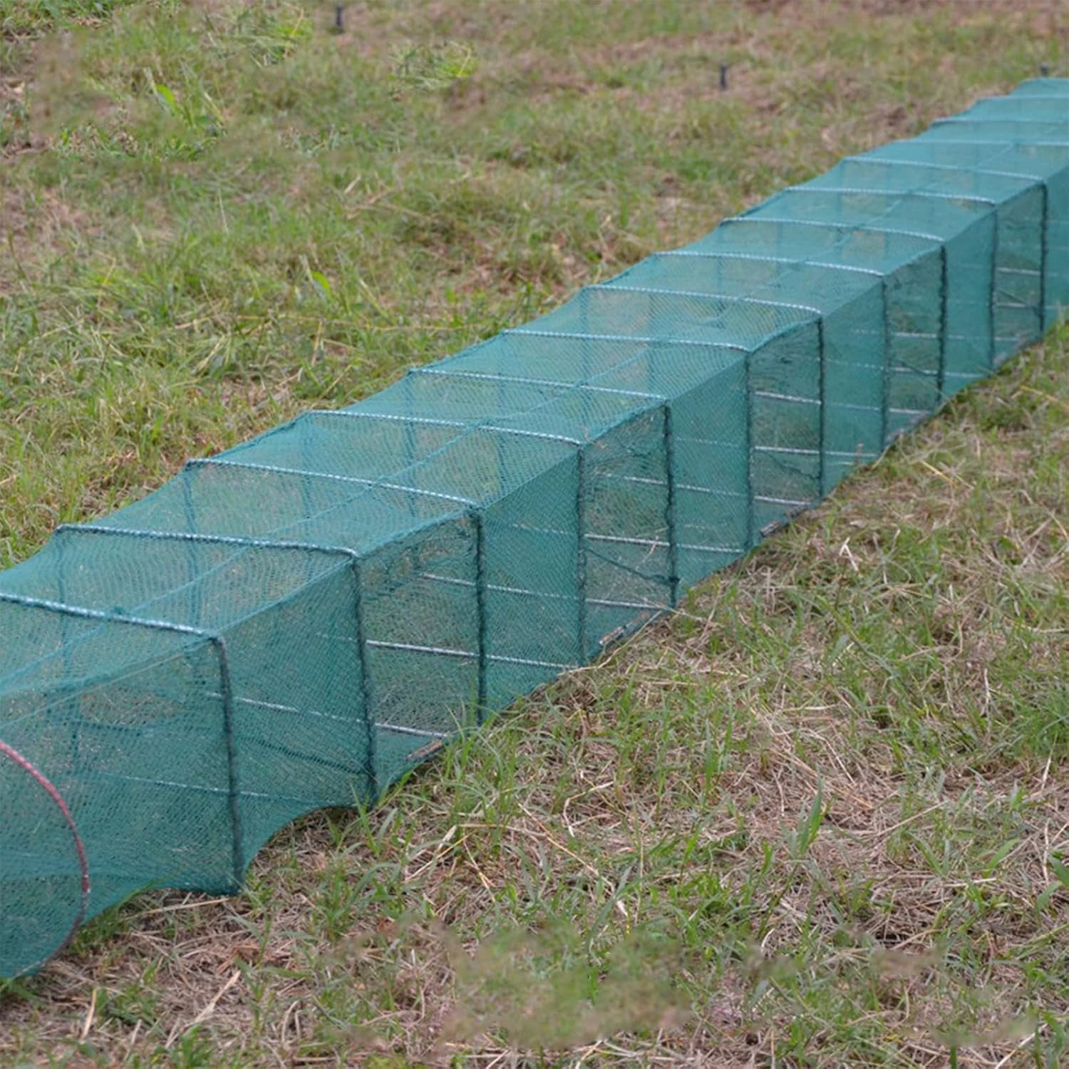 Foldable Crab Trap Crayfish Trap Fishing Device with Multiple Entrances ...