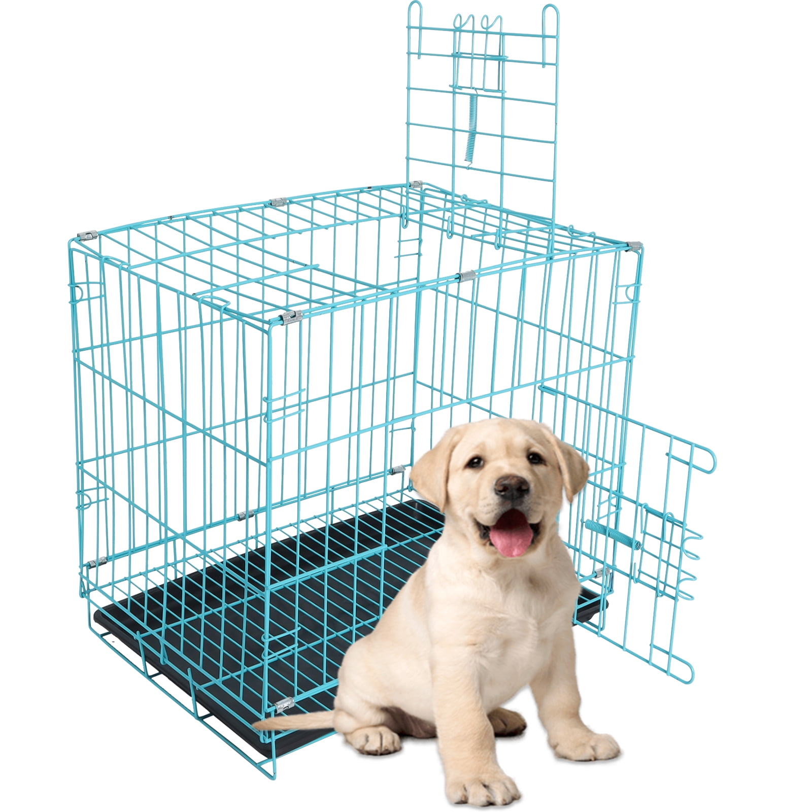 Big thunder kennels online