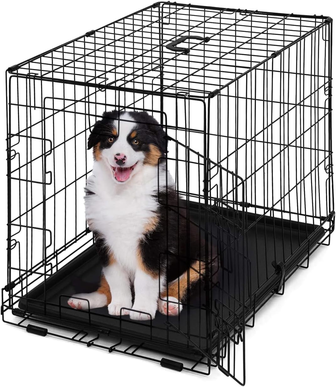 View of Foldable Dog Crate Wire Metal Dog Kennel w/Divider Panel, Leak-Proof ...