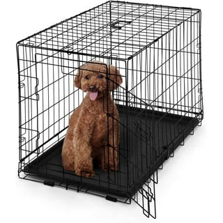 Dog crate divider walmart sale