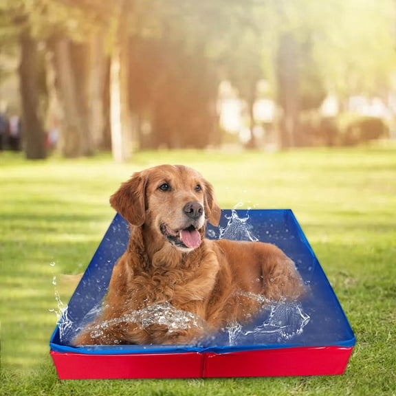 Foldable Dog Kiddie Pool Hard Kids Swimming Pools Pet Doggie Cats Wading Pools Bathtub 31.5*12inch
