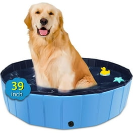 Plastic Dog Pool 43