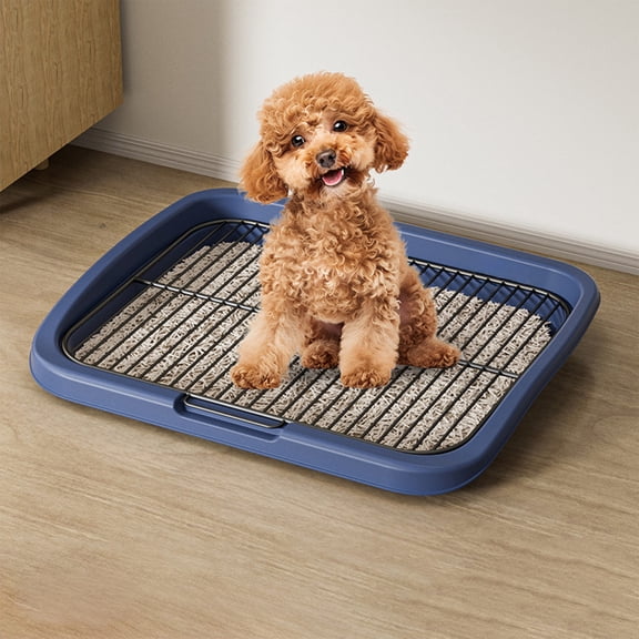 Foldable Dog Potty Training Pad Tray with Removable Mesh, Low-Entry Puppy Pee Pan for Indoor Outdoor Use, Leak-Proof Pet Relief Solution