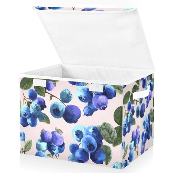 Foldable Fabric Storage Bin With Handle Collapsible Basket Box Storage With Lid Organizer Blue Berry Painting