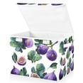 thumbnail image 1 of Foldable Fabric Storage Bin With Handle Collapsible Basket Box Storage With Lid Organizer Figs with Leaves, 1 of 7