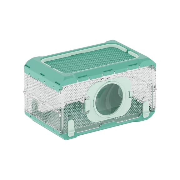 Foldable Insect Observation Box Outdoor Adventure Bug Catcher Container Science Experiment Educational Toy Green