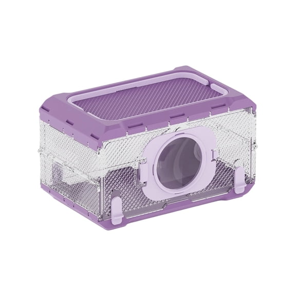 Foldable Insect Observation Box, Transparent Outdoor Bug Viewer Container, Portable Insect Catcher Toy for Nature Discovery