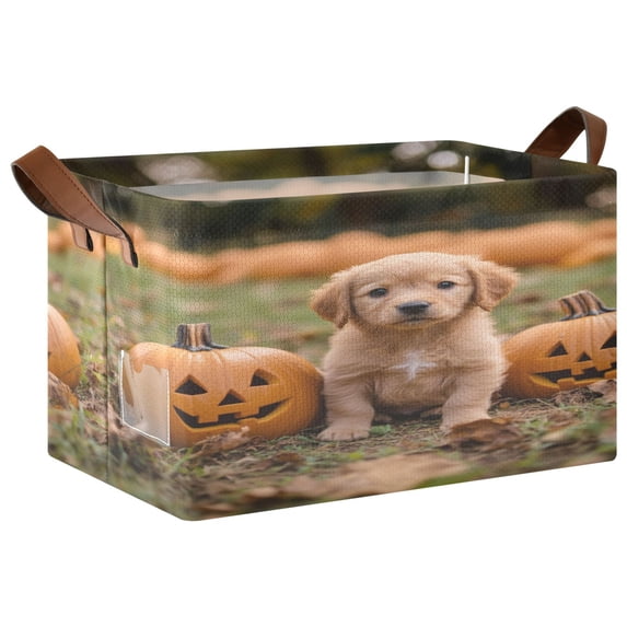 Foldable Iron Frame Storage Basket Open Basket Bins Versatile Organizer for Laundry Bathroom Closet 16.9” x 11.4” x 10” A Puppy Sitting Between Two Oumpkins