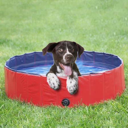 Foldable Large and Small Dog Pool Dog Bath Safe And Non Toxic Kids Rigid Pool
