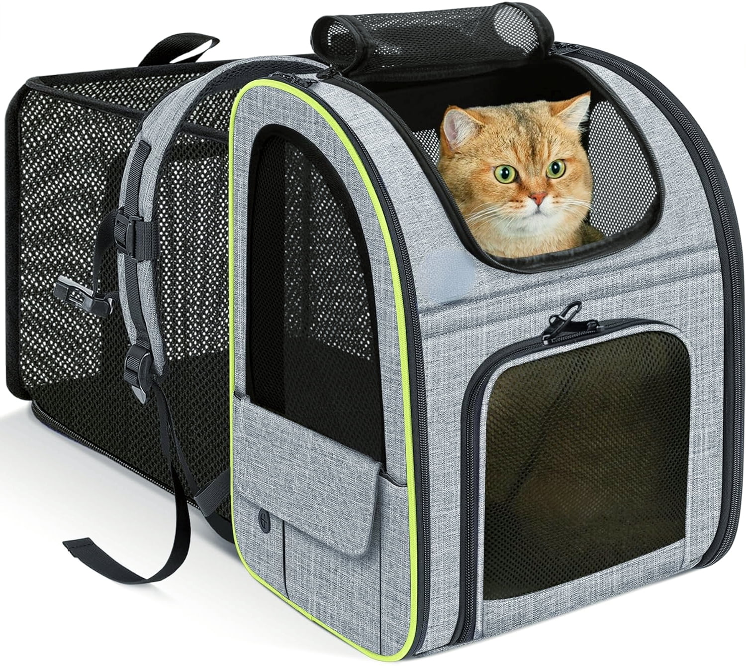 Foldable Pet Backpack in Gray for Cats and Small Dogs Up to 11lbs with Airy Mesh