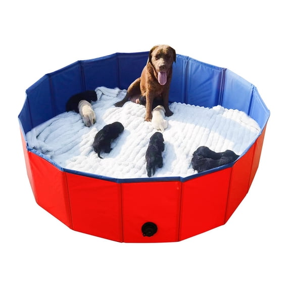 Foldable Pet Dog Swimming Pool,Plastic Anti-Slip PVC Bathing Tub Swimming Pool Durable Fiberboard