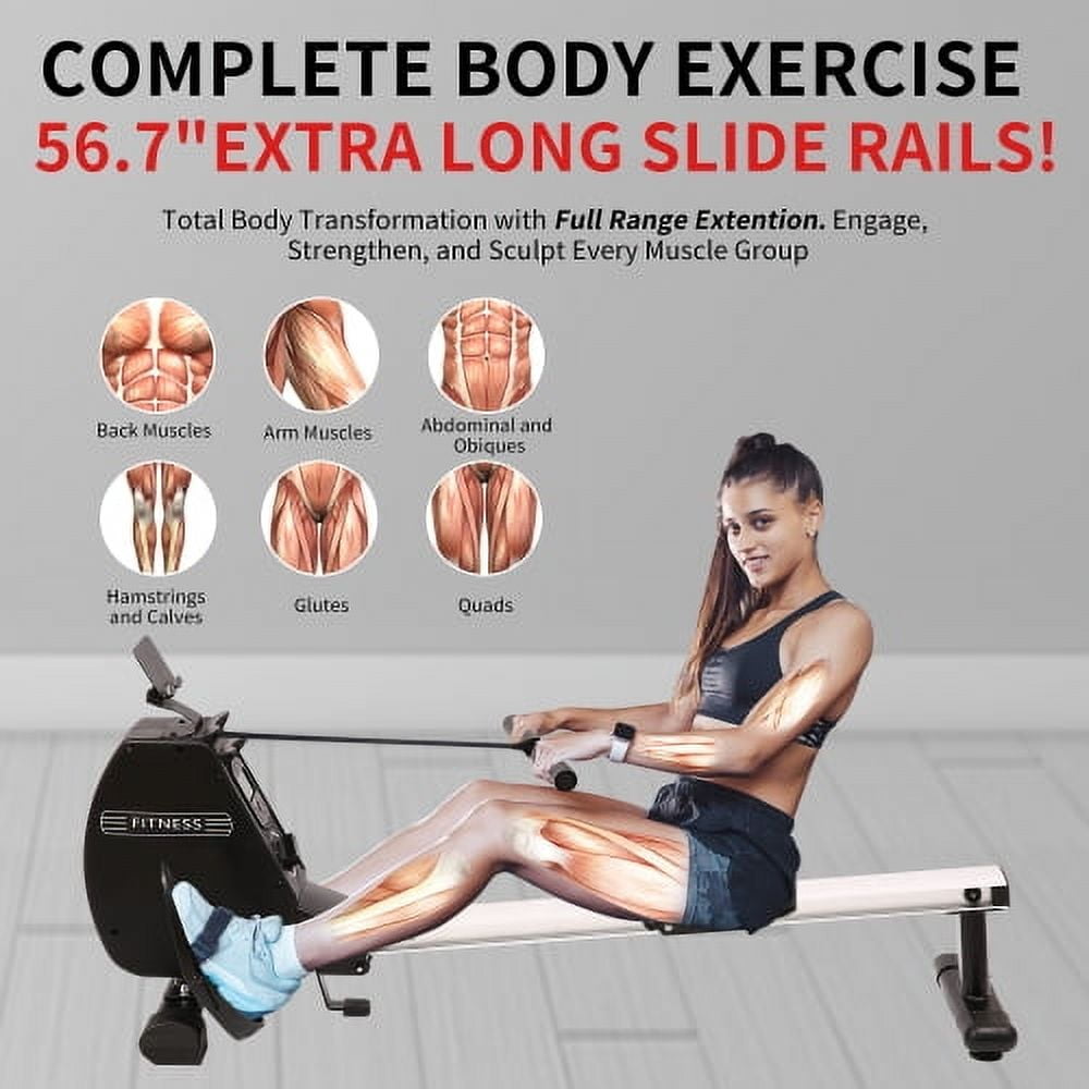Foldable Rower with 8 Levels of Quiet Resistance, Max 264lb Weight Capacity