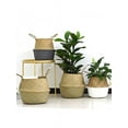 thumbnail image 1 of Foldable Seagrass Belly Basket Pot Flower Plant Storage Pot Wickerwork Hamper Tool, 1 of 6