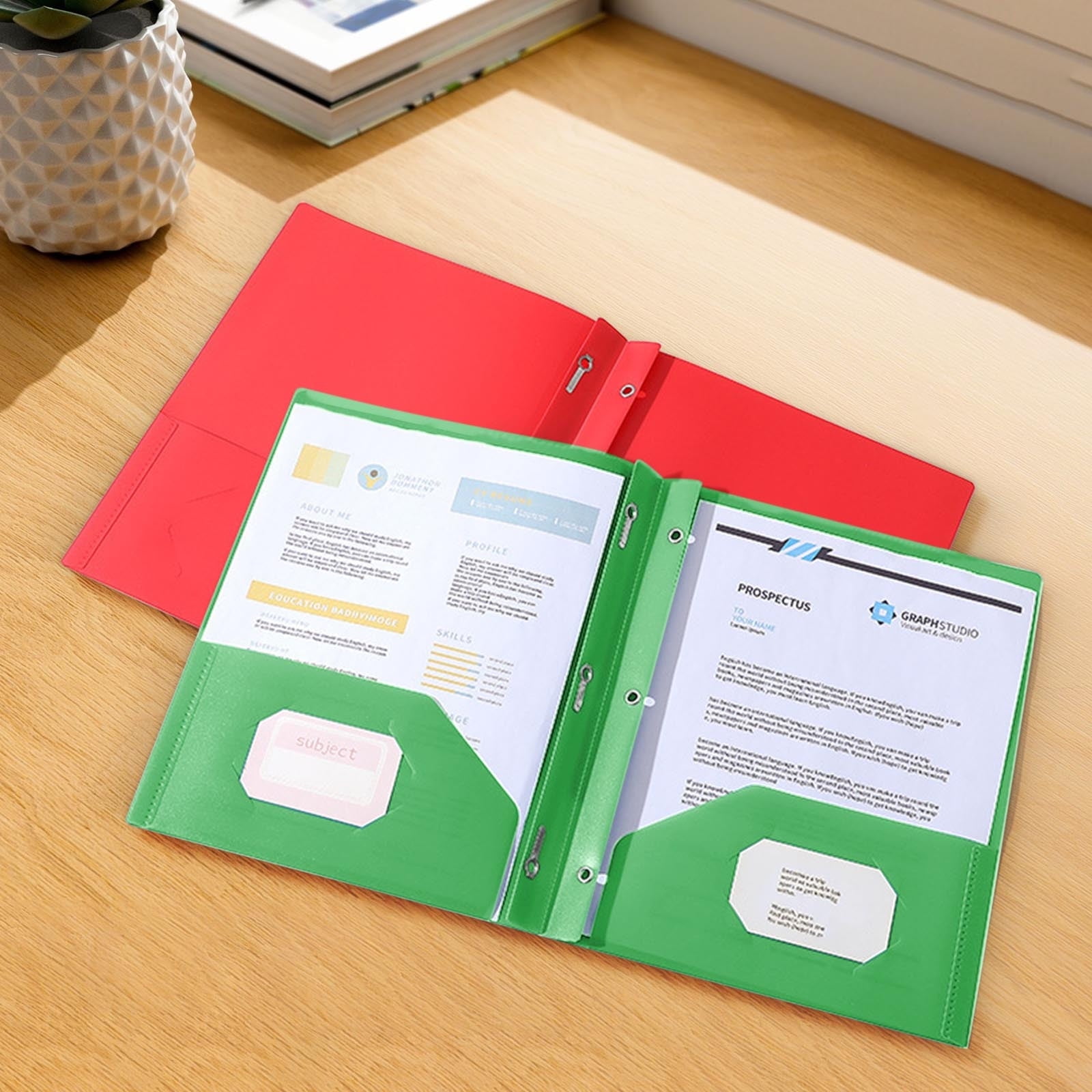 Folder for Important Documents, Organizer Folders Desktop File ...