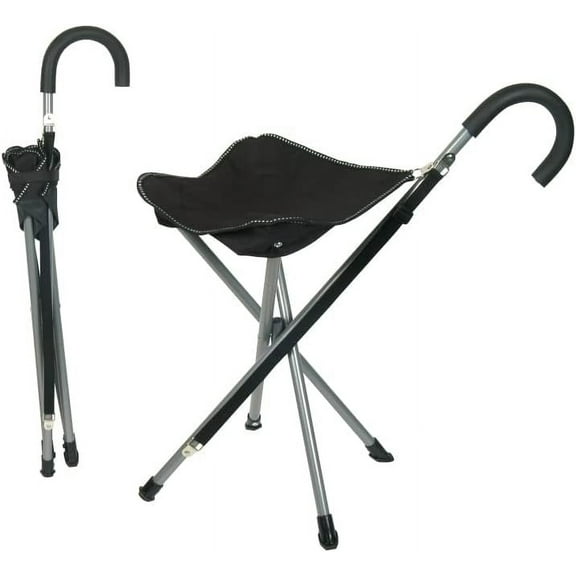 Folding Cane Chair/Walking Stick (Black)