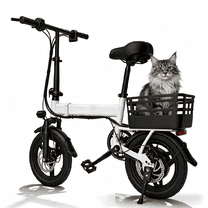 Collapsable Speed Rack A14 Electric Bike for Adults, 48V 10Ah Battery Peak 700W Motor, 20 MPH ...