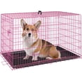 Curated visual reference: Gallery Detail: Folding Metal Dog Crate With Double Door And Divider Panel