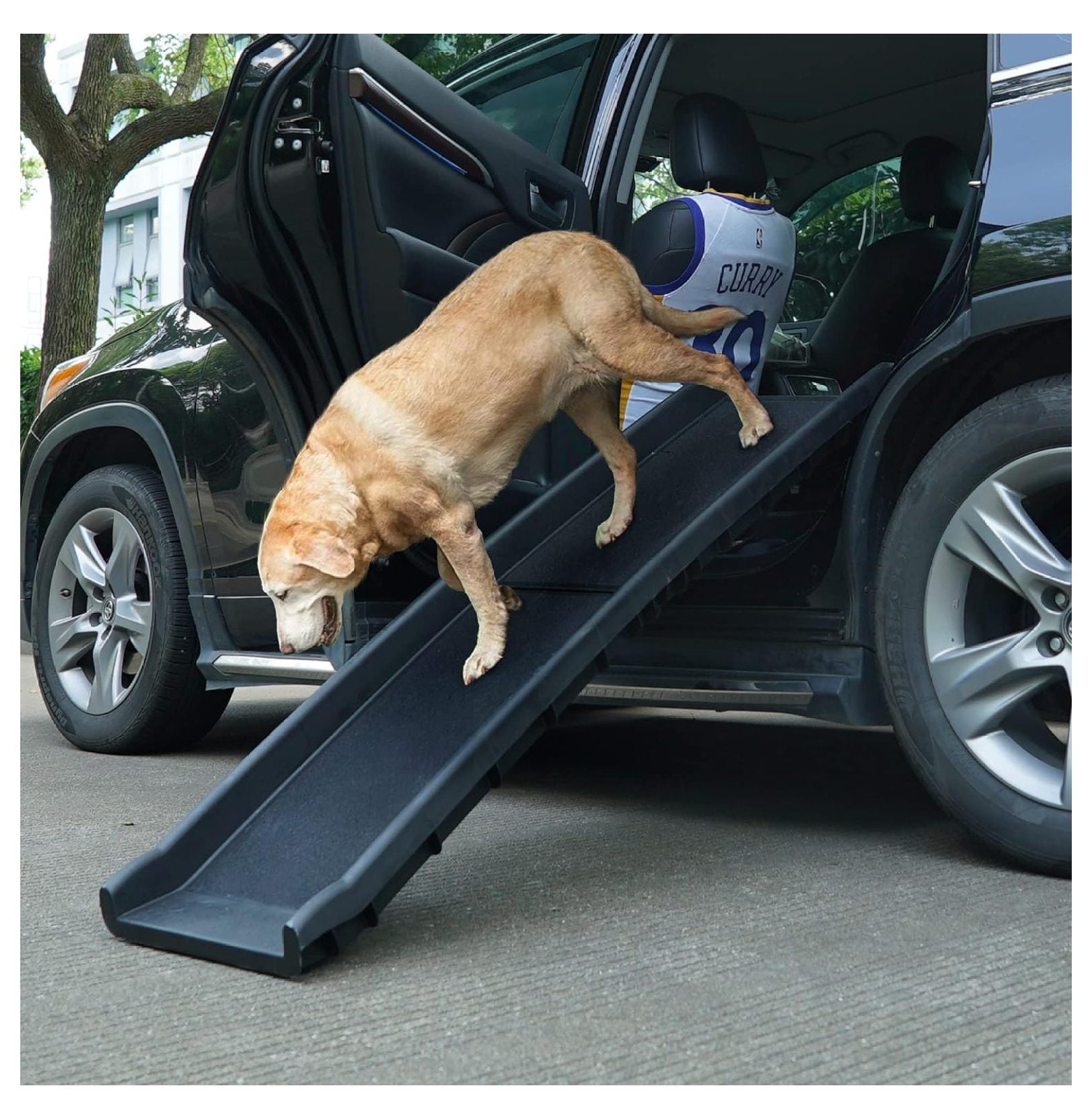 Folding Pet Dog Ramp /Car 62" L Ladder Stairs for Puppy Old Dogs