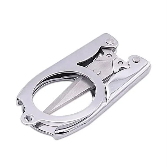Folding Pocket Scissors, Stainless Steel Portable Travel Snips with Safety Foldable Design, Mini Compact Shears for Crafting, Fishing, and Emergency Kits, Champagne Silver