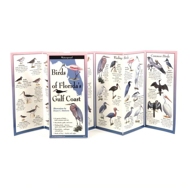ERNEST SIMMONS FoldingGuides: Birds of Florida's Gulf Coast (Other)