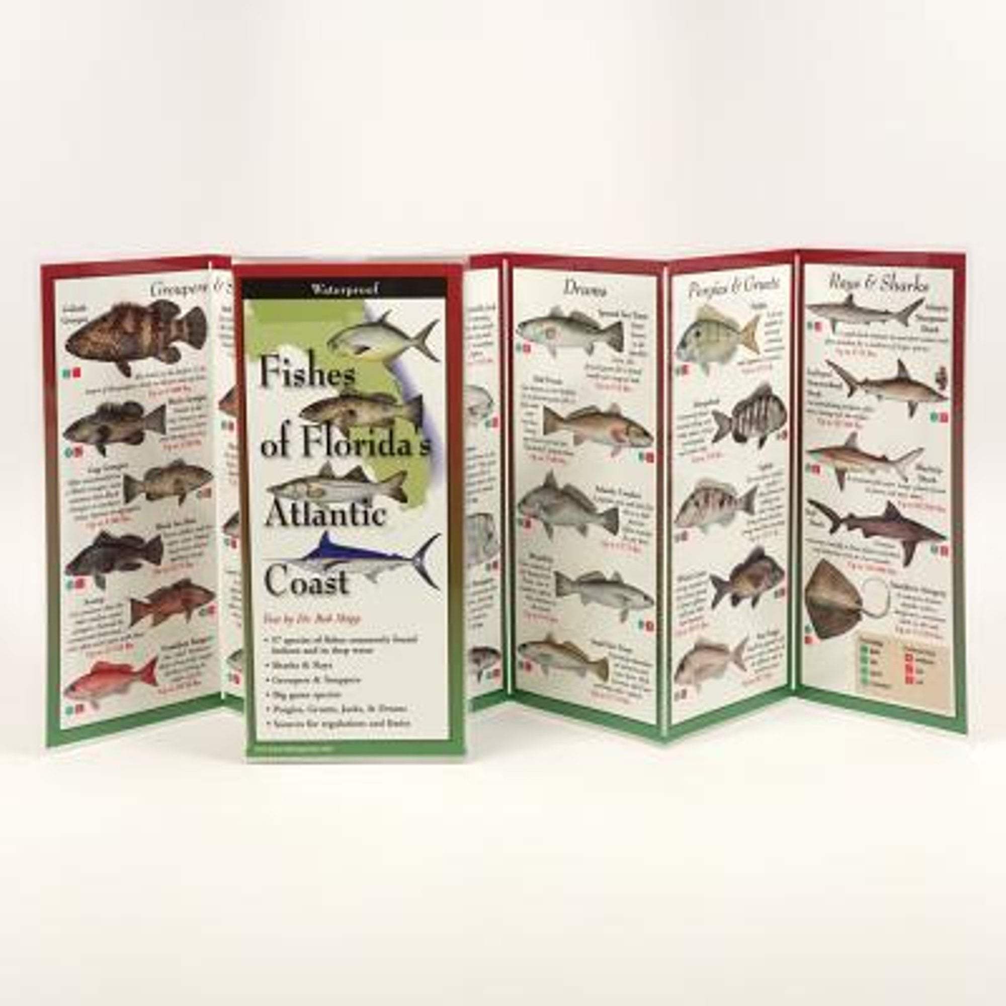 FoldingGuides: Fishes of Florida's Atlantic Coast (Other) - Walmart.com