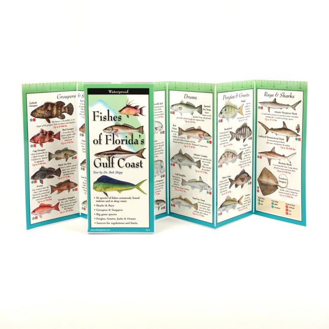 ROBERT SHIPP; DIANE PEEBLES FoldingGuides: Fishes of the Florida's Gulf Coast (Other)
